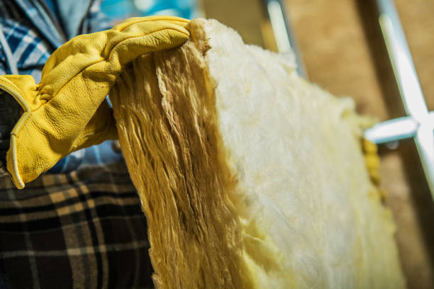 Best Wall Insulation Contractor  in Rome City, IN