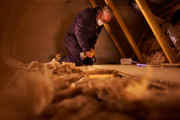 Best Garage Insulation Installation  in Rome City, IN